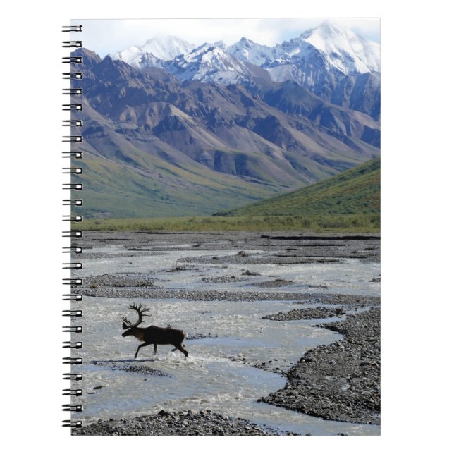 CADERNO ESPIRAL PAISAGEM PACÍFICA COM REINO (Frente)