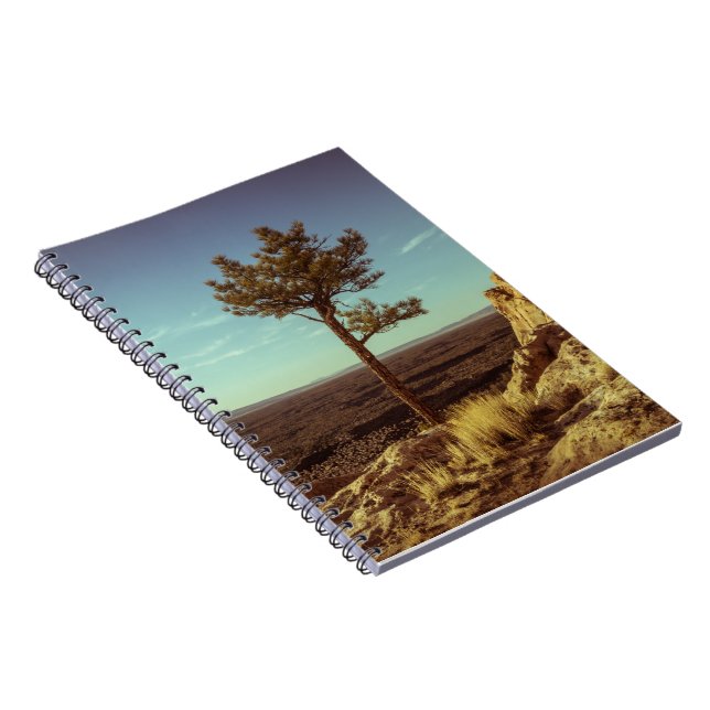 Caderno Espiral Paisagem Vintage EUA (Lado Direito)
