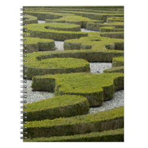 Caderno Espiral Países Baixos (também conhecido como Holanda), Ape