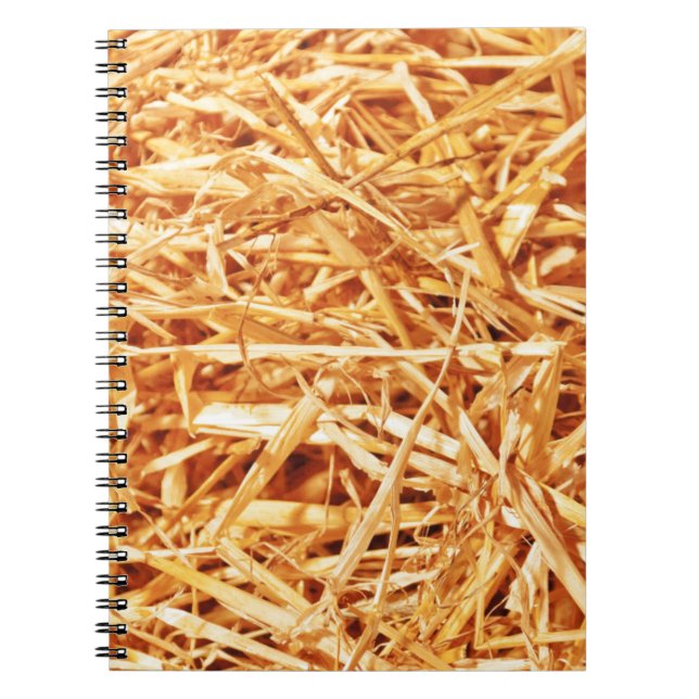 Caderno Espiral Palha, Design Abstrato (Frente)