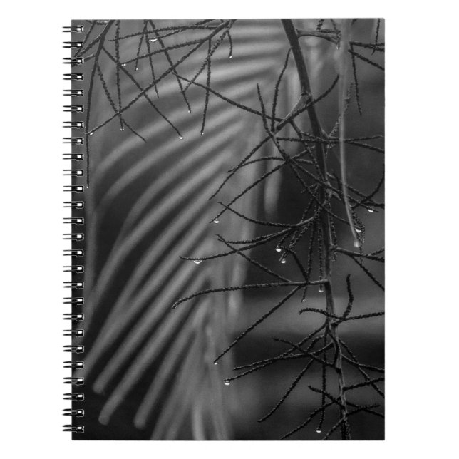 Caderno Espiral Palm and rain Spiral Photo Notebook (Frente)