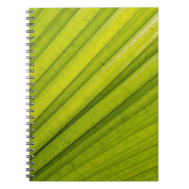 Caderno Espiral Palm Leaf