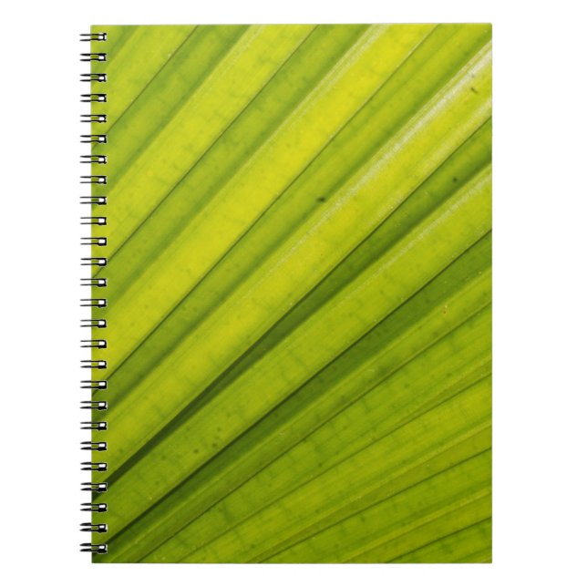Caderno Espiral Palm Leaf (Frente)