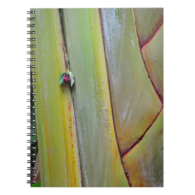 Caderno Espiral Palm Tree de Viajantes (Frente)