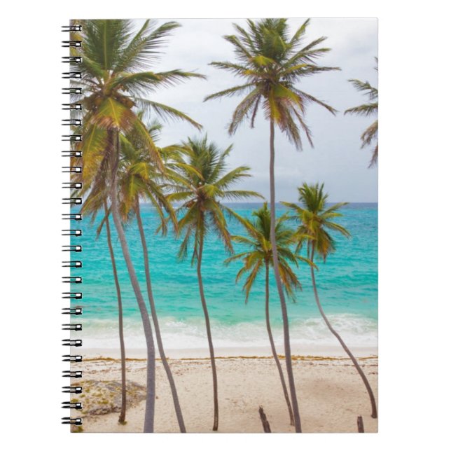 Caderno Espiral Palmas da praia (Frente)