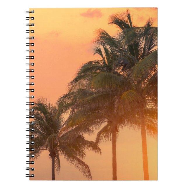 Caderno Espiral Palmas de Miami (Frente)