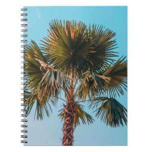 Caderno Espiral Palmeira verde