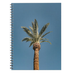 Caderno Espiral Palmeira verde sob céu azul pela manhã