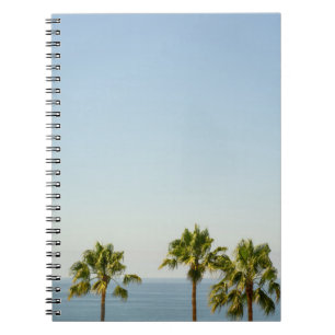 Caderno Espiral Palmeira verde sob o céu branco pela manhã