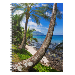 Caderno Espiral Palmeiras ao longo da Praia Hideaways