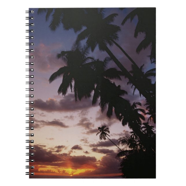 Caderno Espiral Palmeiras no mar (Frente)