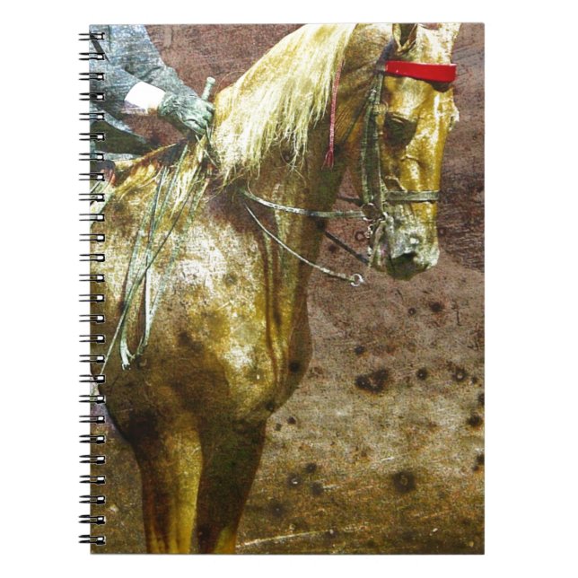 Caderno Espiral Palomino Saddleseat Grunge (Frente)