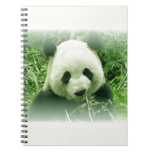 Caderno Espiral Panda