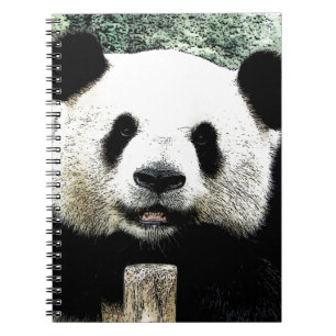 Caderno Espiral Panda