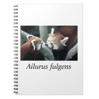 Caderno Espiral Panda#1 vermelho