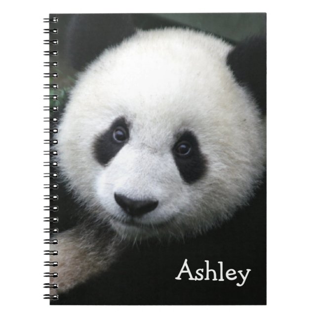 Caderno Espiral Panda Bear (Frente)