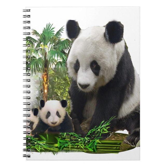 Caderno Espiral Panda Bears (Frente)