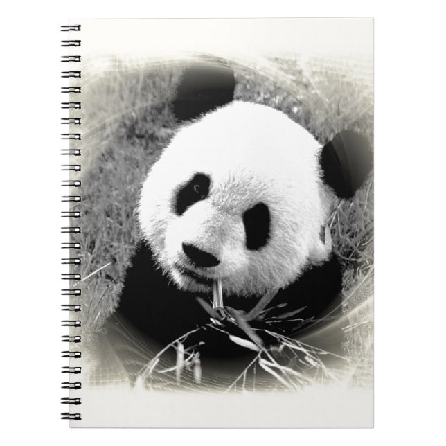 Caderno Espiral Panda Eyes (Frente)