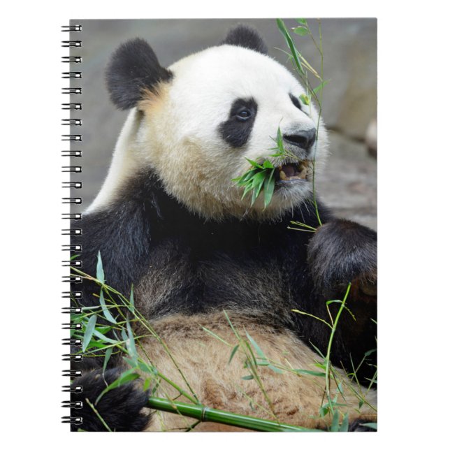 Caderno Espiral Panda gigante comendo bambu (Frente)