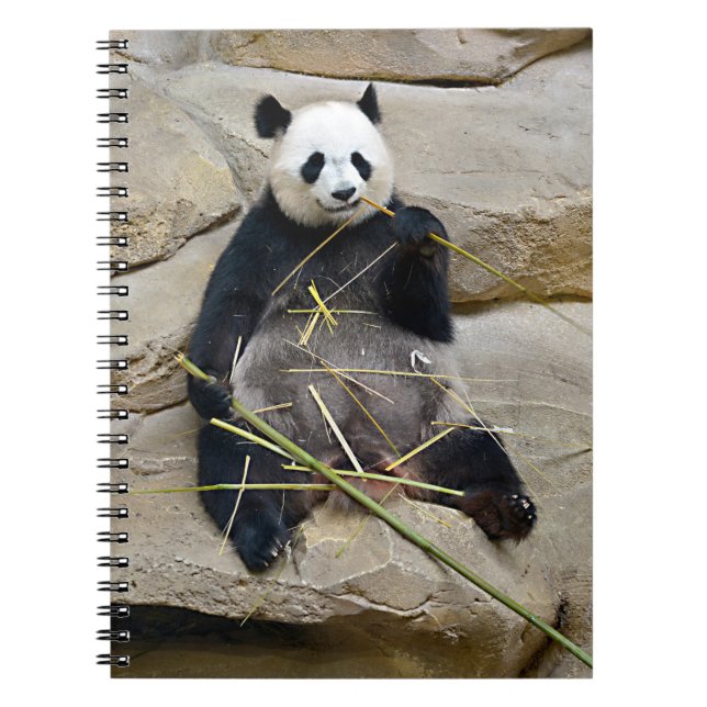 Caderno Espiral Panda gigante comendo bambu (Frente)