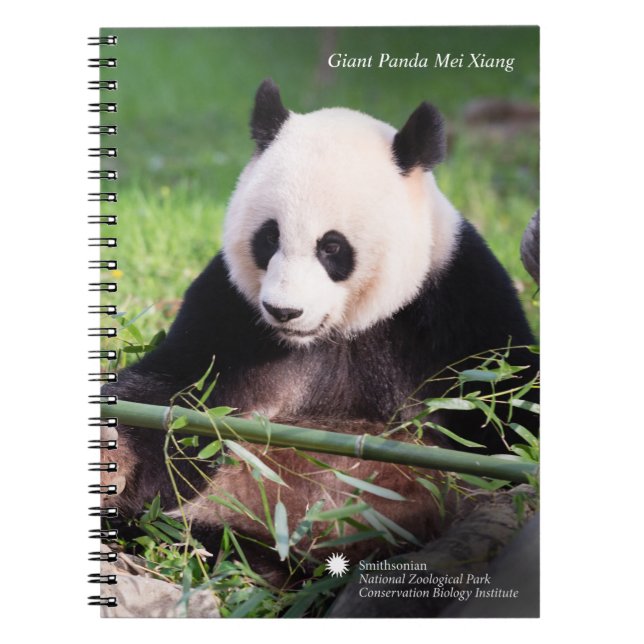 Caderno Espiral Panda gigante Mei Xiang (Frente)