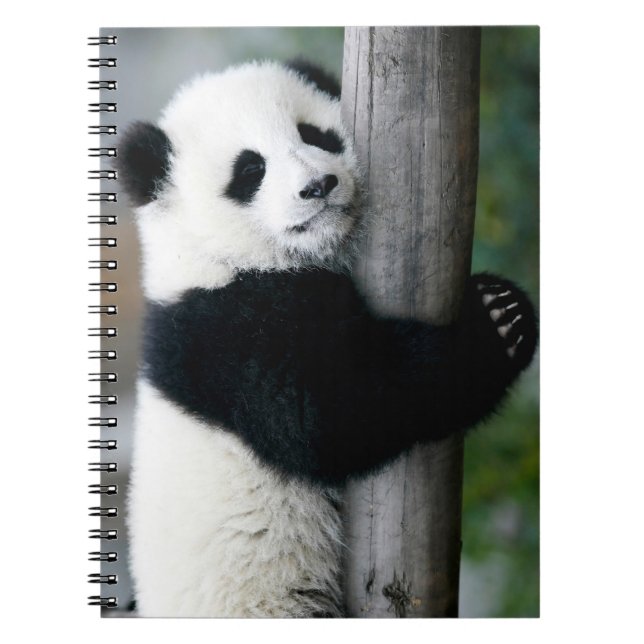Caderno Espiral Panda que abraça o cargo (Frente)