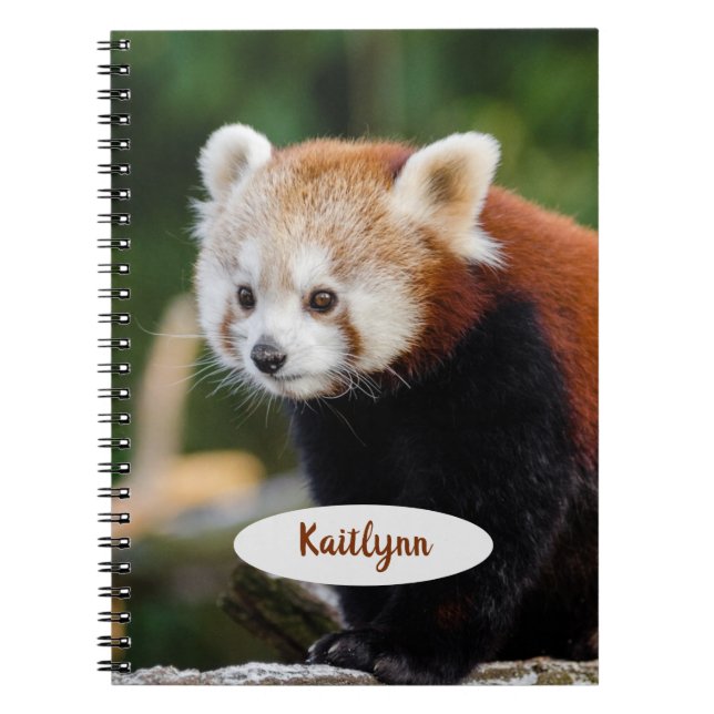 Caderno Espiral Panda Vermelha Personalizada (Frente)