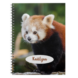 Caderno Espiral Panda Vermelho Personalizado