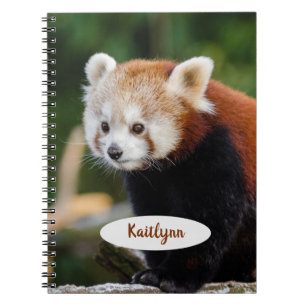 Caderno Espiral Panda Vermelho Personalizado