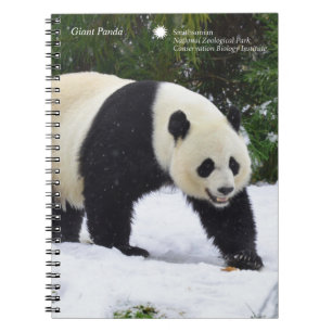 Caderno Espiral Pandas gigantes de Smithsonian   na neve