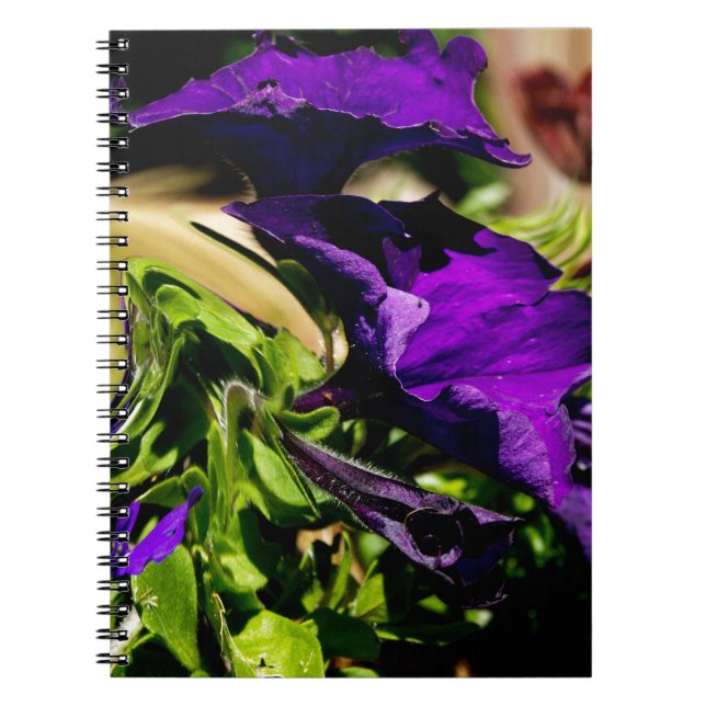 Caderno Espiral Pânico Roxo (Frente)