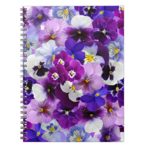 Caderno Espiral Pansias gloriosas, bonito e coloridas,