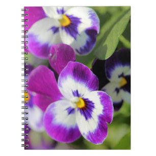 Caderno Espiral Pansy