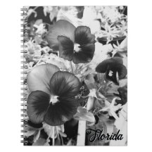 Pansy Monocromático Artístico de Foto da Natureza 