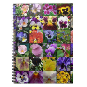 Caderno Espiral Pansy Pansies