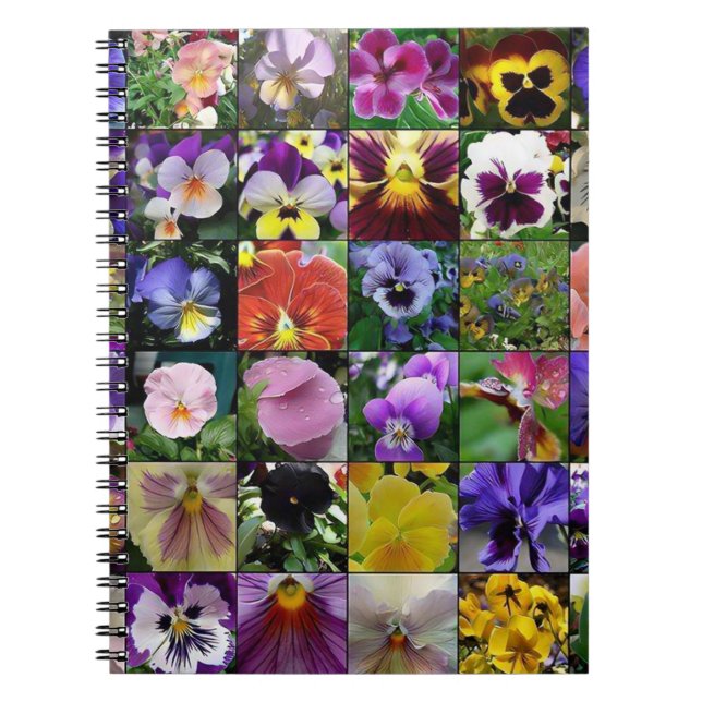 Caderno Espiral Pansy Pansies (Frente)