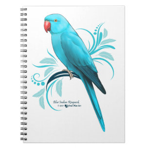 Caderno Espiral Papagaio azul de Ringneck do indiano