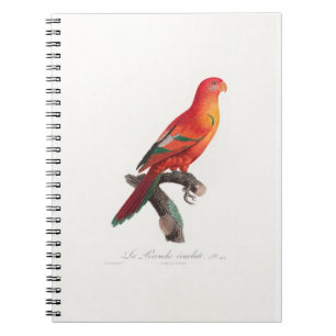 Caderno Espiral papagaio-de-arara tropical