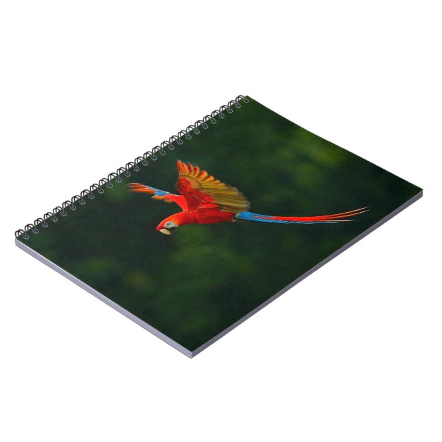 Caderno Espiral Papagaio em Voo (Left Side)