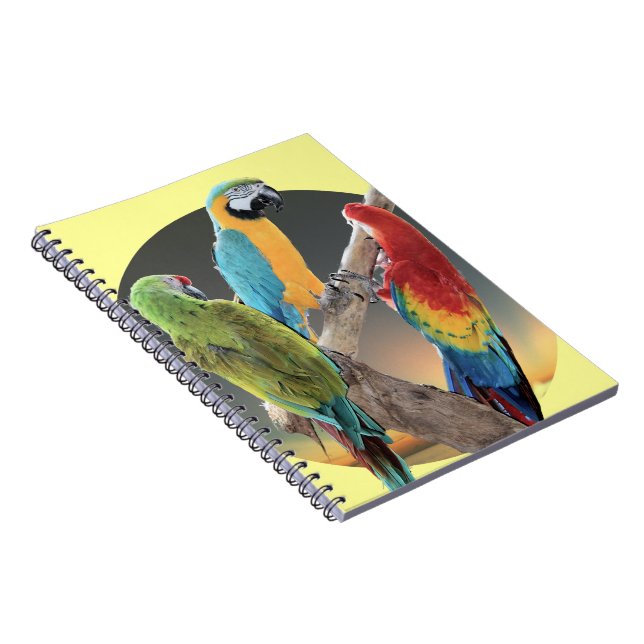 Caderno Espiral Papagaios do Macaw (Lado Direito)