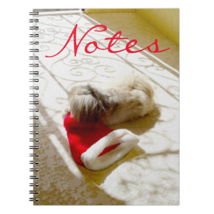 Caderno Espiral Papai Noel Capturado