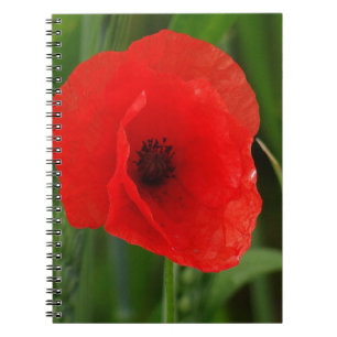 Caderno Espiral Papoila vermelha