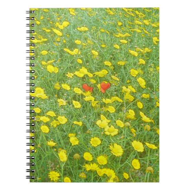 Caderno Espiral Papoilas aquáticas (Frente)