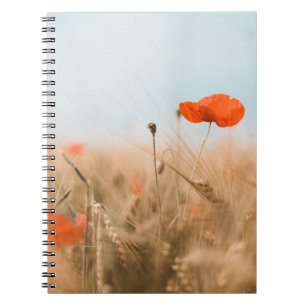 Caderno Espiral Papoilas vermelhas e cevada Dourado