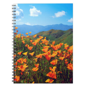 Caderno Espiral Papoulas da Califórnia Cobrindo uma Encosta