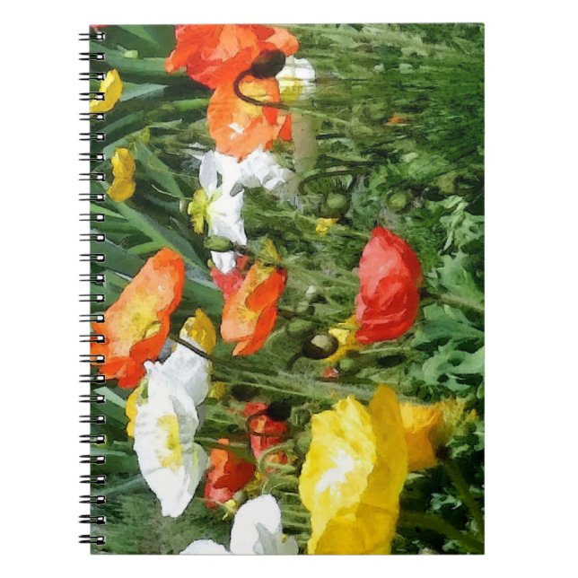 Caderno Espiral papoulas pintadas (Frente)