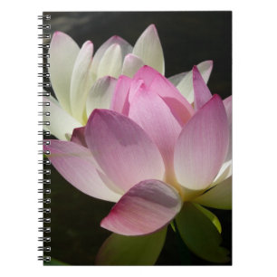 Caderno Espiral Par de Flores de Lotus II