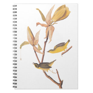 Caderno Espiral Par de passarinho do Kentucky - Audubon com aranha