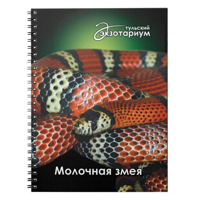 Caderno Espiral Para o cobra de leite dos amantes do réptil (Frente)