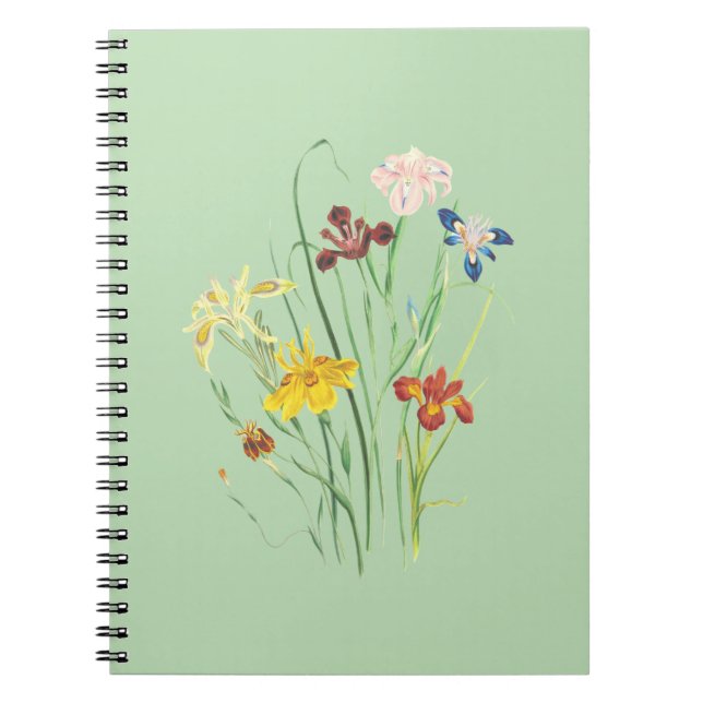 Caderno Espiral Paraíso do Caderno: Os Melhores Designs à sua  (Frente)
